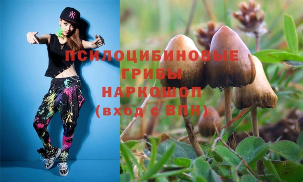 а пвп мука Алексеевка