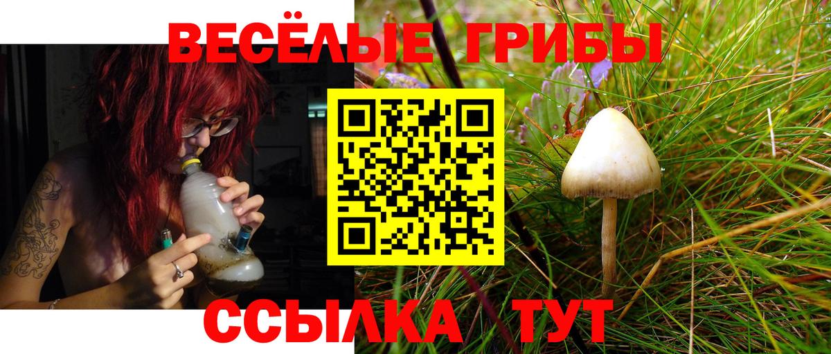 Псилоцибиновые грибы мухоморы  Вход с VPN  Дедовск 